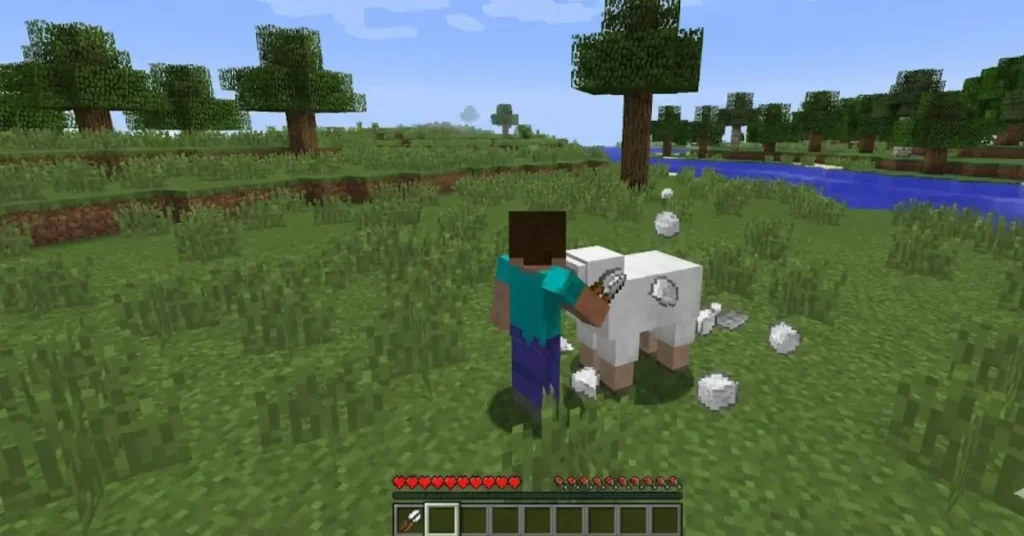 Minecraft player holding shears and shearing a white sheep in a grassy plains biome, wool items dropping on the ground, simple HUD visible